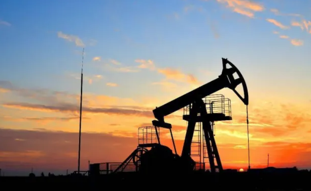 加大勘探開發力度 確保能源安全